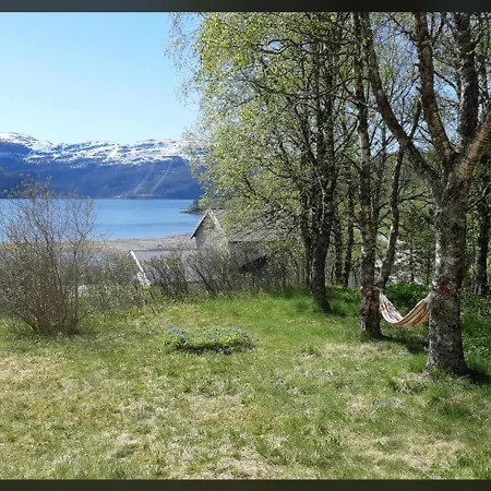 Graceland Norway Πανσιόν Foldereid