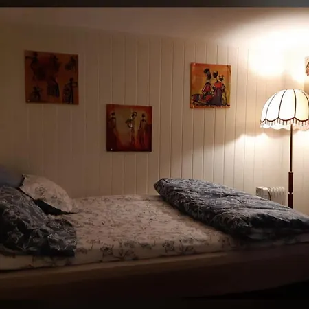 בית הארחה Graceland Norway *