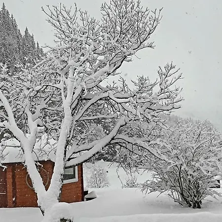 Πανσιόν Graceland Norway Foldereid
