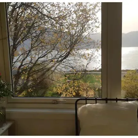 Graceland Norway * Foldereid