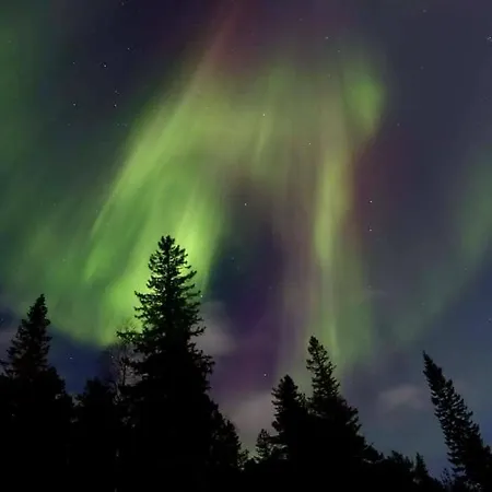 Graceland Norway Foldereid